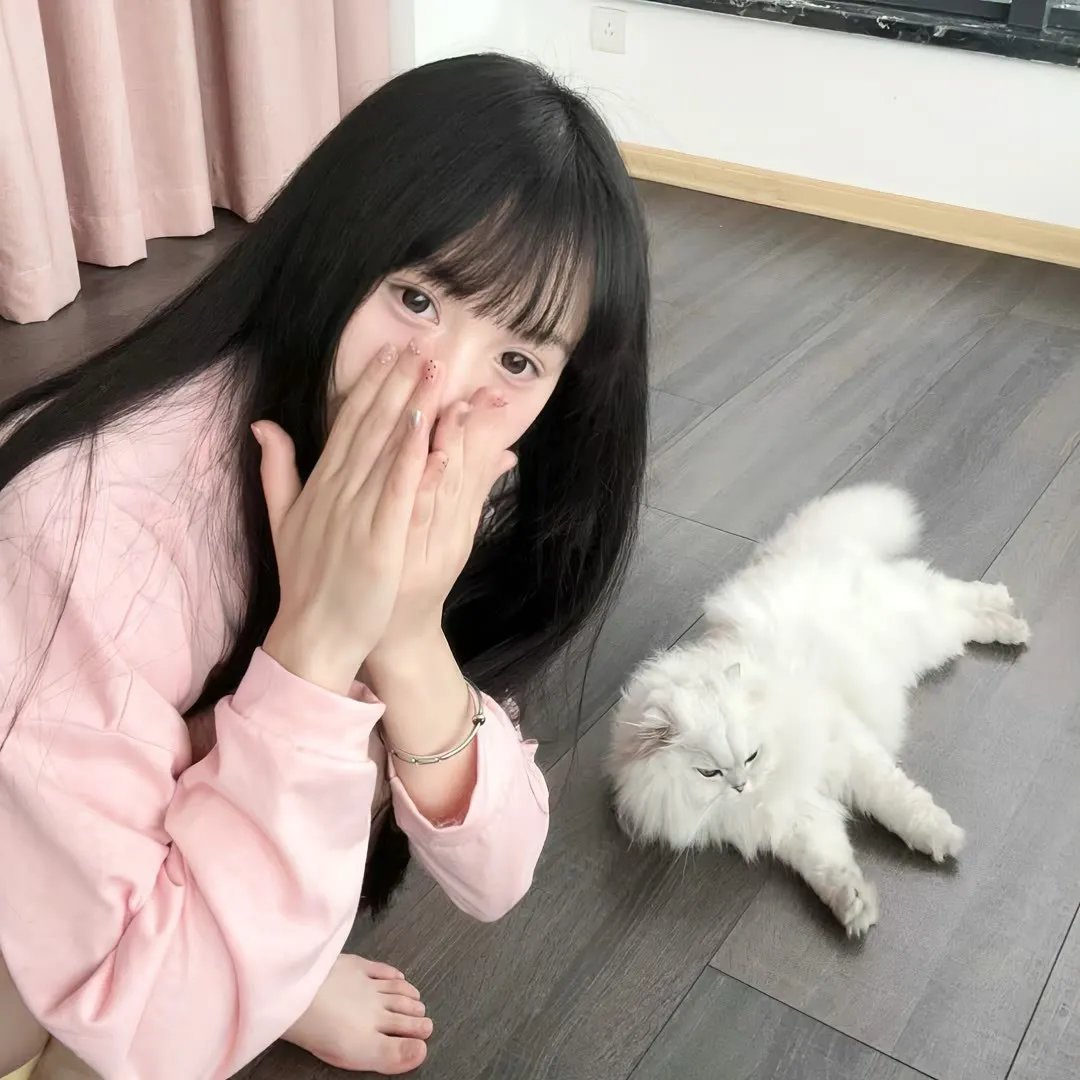 或战或退 海报